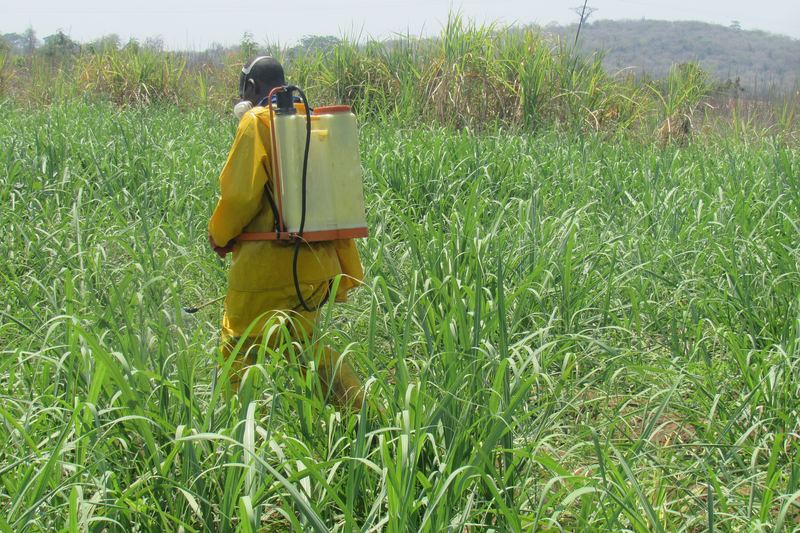 This is an image with the theme "Health and Wellness in Africa" from: